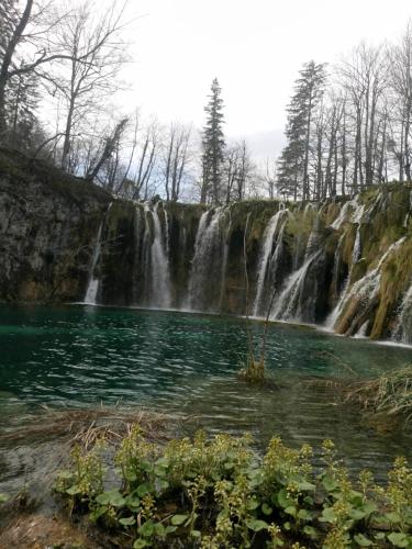 Apartments Tratincica