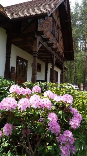 Pokoje Goscinne U Garncarza