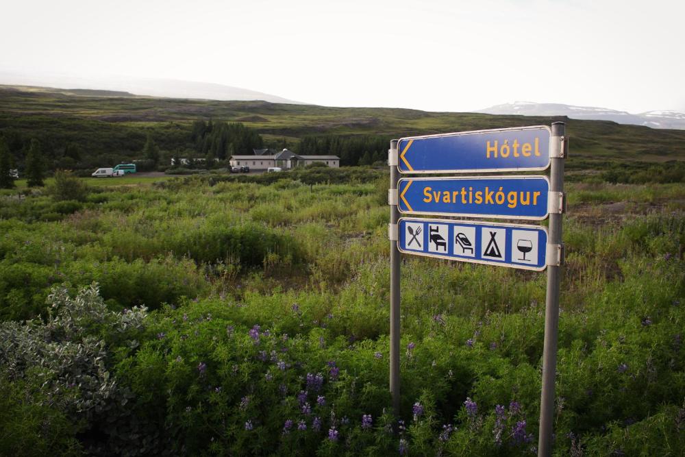 Svartiskogur