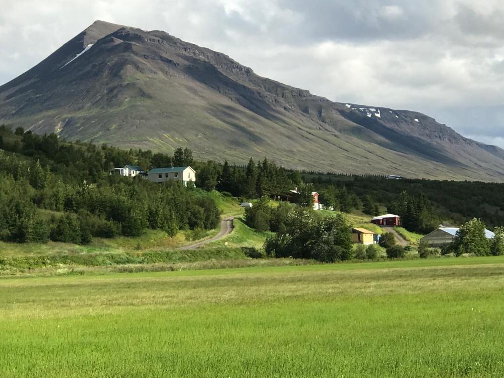Brunalaug Guesthouse Holiday Home