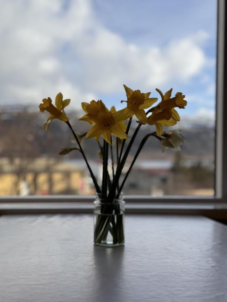 Guesthouse Tálknafjörður